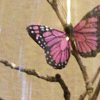 butterfly haven